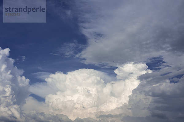 Haufenwolken  Cumulus