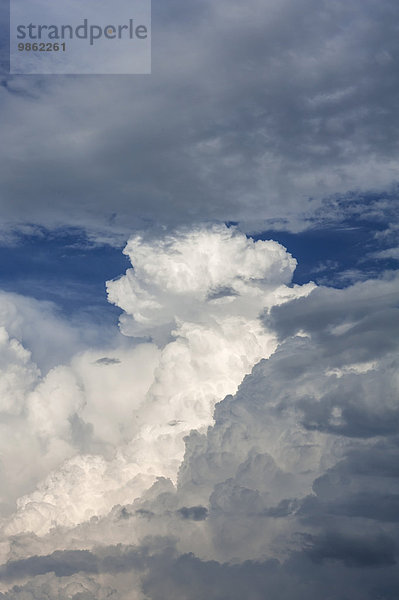 Haufenwolken  Cumulus