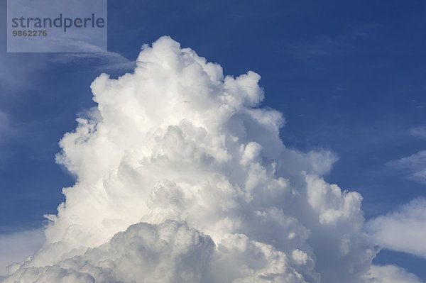 Haufenwolke  Cumulus