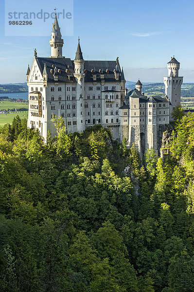 Schloss Neuschwanstein über der Pöllatschlucht  Forggensee  Schwangau  Ostallgäu  Allgäu  Schwaben  Bayern  Deutschland  Europa