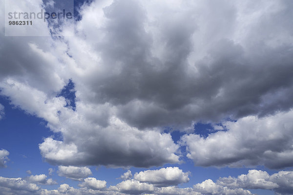 Haufenwolken  Cumulus