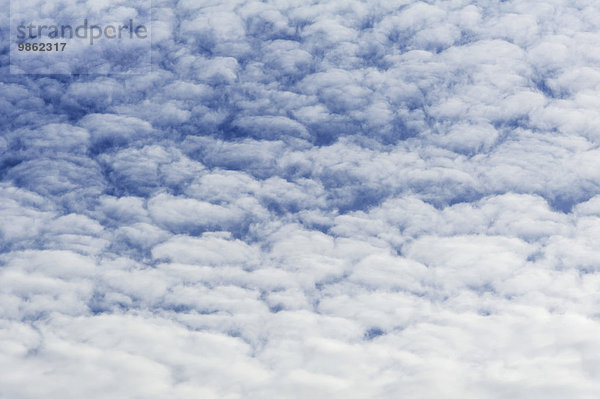 Große Schäfchenwolken  Altocumulus