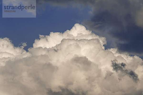 Haufenwolke  Cumulus