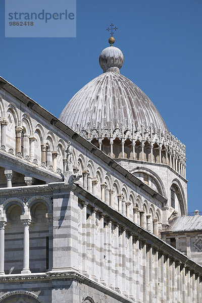 Kuppel  Dom von Pisa  Pisa  Toskana  Italien  Europa
