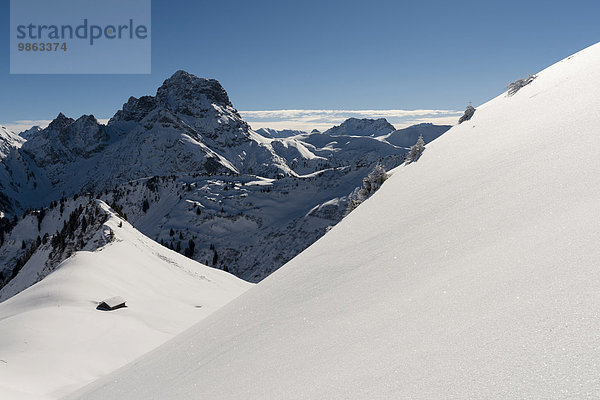 Verschneiter Gipfel vom Widderstein  Baad  Kleinwalsertal  Vorarlberg  Österreich  Europa