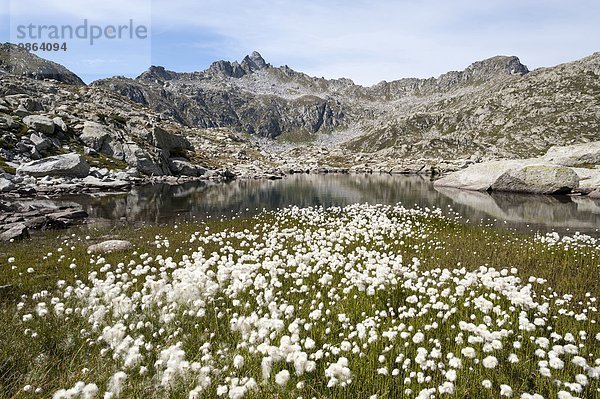 Landschaft Berg See weiß Alpen Wolle Mittelpunkt Gras Italien