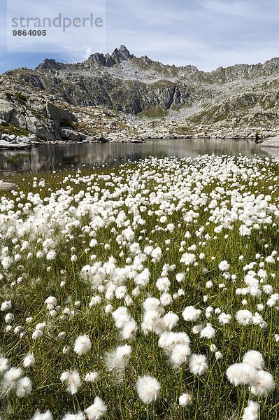 Landschaft Berg See weiß Alpen Wolle Mittelpunkt Gras Italien