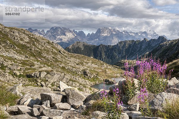 Landschaft folgen See 5 Alpen Mittelpunkt Dolomiten Kraut Italien