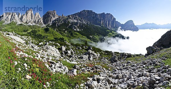 Hütte Sellamassiv Sella Berg folgen Weg Dolomiten Wanderweg behaart Italien Rhododendron