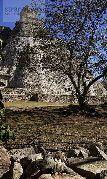 pyramidenförmig Pyramide Pyramiden Amerika Mexiko Leguan Zauberer Pyramide