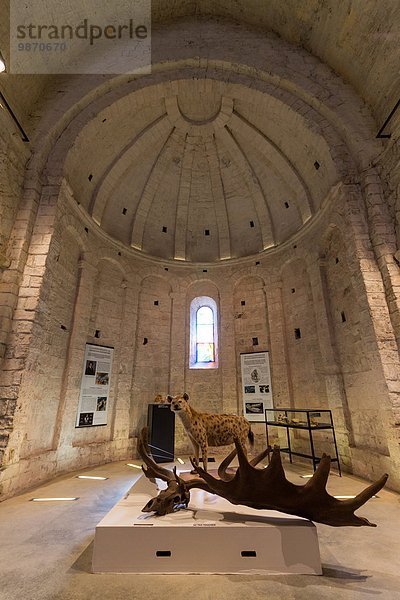Frankreich Ausgrabungsstätte Kirche Museum Cote d Azur