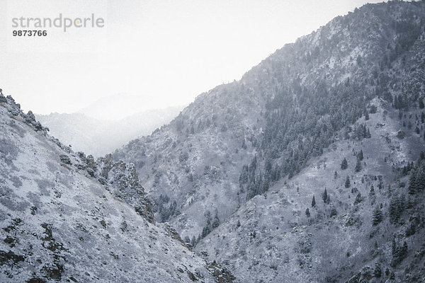 bedecken geben Tal Schnee