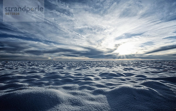 bedecken Horizont Feld Ansicht Schnee