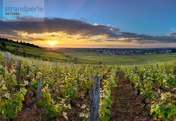 Feuerwehr nahe Landschaft Weinberg Zimmer Beaune