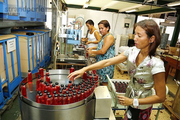 Farbaufnahme Farbe gebraucht Blume französisch dippen Produktion Wahrzeichen Blütenblatt rot Parfüm Erfolg Kokosnuss Emblem zusätzlich Abfüllanlage Sonnenschutz Französisch-Polynesien Haar Öl Polynesien Tahiti Tiki