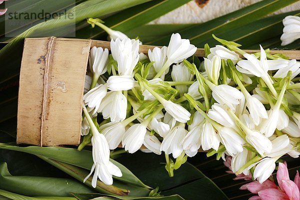 gebraucht Blume französisch dippen Produktion Blütenblatt Parfüm Erfolg Kokosnuss Emblem Französisch-Polynesien Haar Öl Polynesien Tahiti