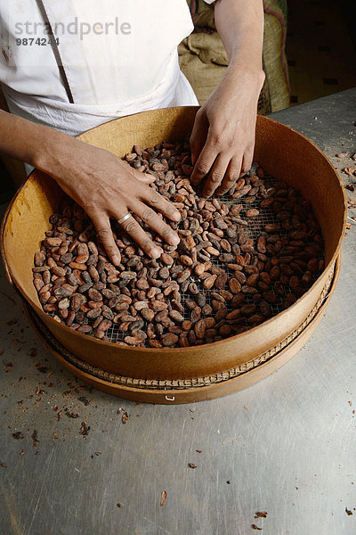 Kaffeebohne gebraucht Produktion Schokolade Kakao heiße Schokolade Trinkschokolade Fabrikgebäude Bohne Lyon sortieren