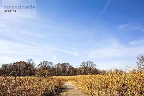 Himmel Weg unterhalb Feld blau groß großes großer große großen Gras