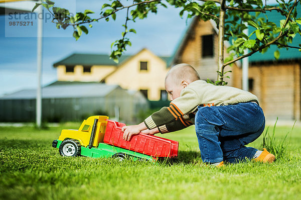 Europäer Junge - Person Garten Spielzeug Lastkraftwagen Hinterhof spielen