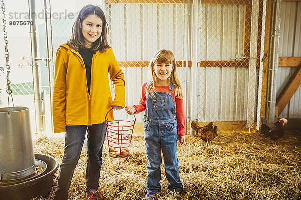 Europäer Schwester sammeln Scheune Huhn Gallus gallus domesticus