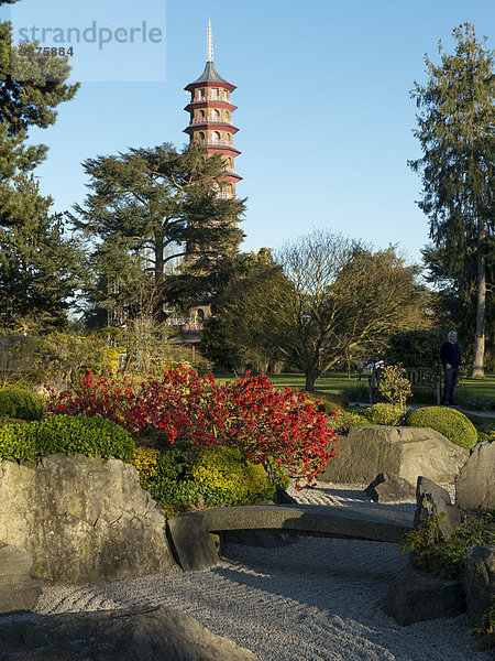 Chinesische Pagode  Royal Botanic Gardens  London Borough of Richmond upon Thames  London  England  Großbritannien  Europa