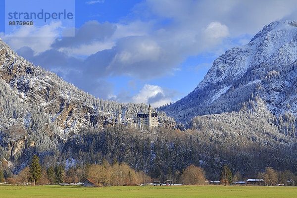 Schloss Neuschwanstein  Ammergauer Alpen  Allgäu  Bayern  Deutschland  Europa