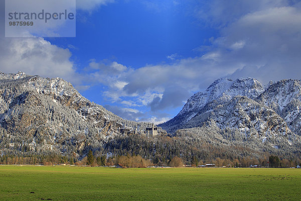 Schloss Neuschwanstein  Ammergauer Alpen  Allgäu  Bayern  Deutschland  Europa