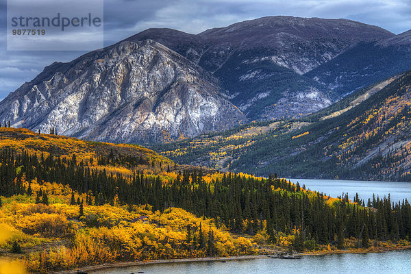 Landschaftlich schön landschaftlich reizvoll See Herbst Yukon Tagish Lake Kanada