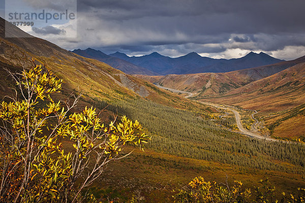 Nationalpark Landschaftlich schön landschaftlich reizvoll Fluss Bach Herbst Eingang Bundesstraße Ansicht James W. Dalton Highway Arktis