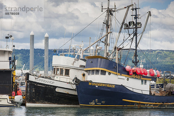 Fischereihafen Fischerhafen Sommer klein Boot Dock angeln Kenai-Fjords-Nationalpark Kenai-Halbinsel