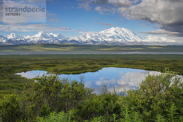 Landschaftlich schön landschaftlich reizvoll Spiegelung Ansicht Mount McKinley Denali Nationalpark Teich