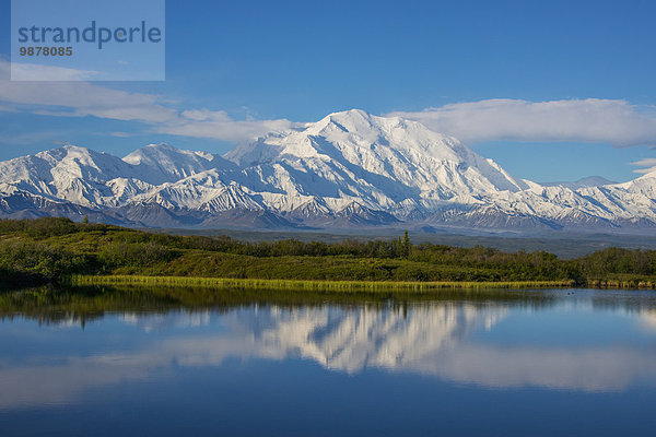 Landschaftlich schön landschaftlich reizvoll Spiegelung Ansicht Mount McKinley Denali Nationalpark Teich