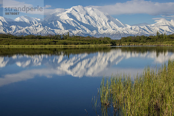 Landschaftlich schön landschaftlich reizvoll Spiegelung Ansicht Mount McKinley Denali Nationalpark Teich