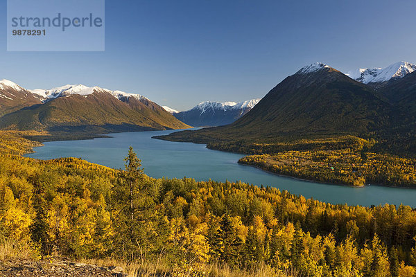 nahe Landschaftlich schön landschaftlich reizvoll See Ansicht landen Kenai-Fjords-Nationalpark Alaska Küfer Kenai-Halbinsel