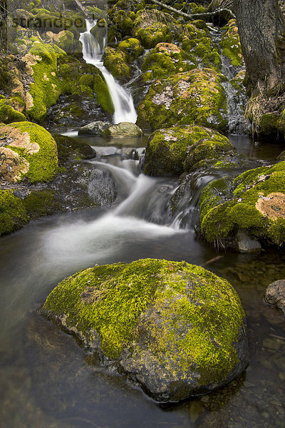Felsbrocken Landschaftlich schön landschaftlich reizvoll bedecken Bach Wasserfall Ansicht Moos Turnagain Arm