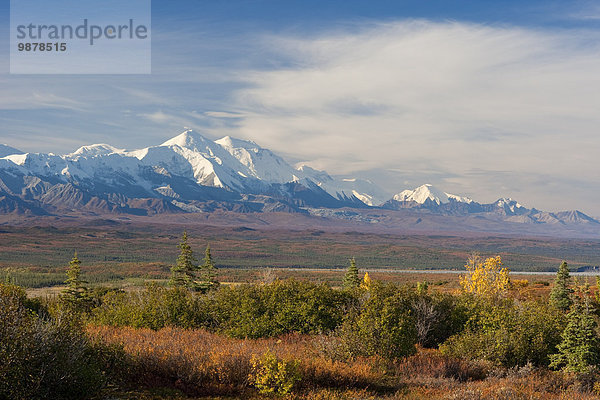 Farbaufnahme Farbe Landschaftlich schön landschaftlich reizvoll Herbst Ansicht Mount McKinley Denali Nationalpark Alaska Tundra