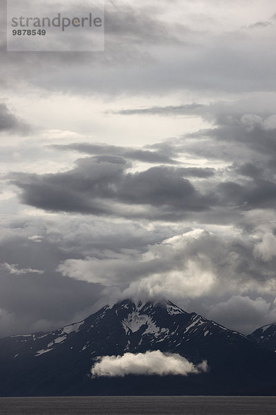 Weißwal Delphinapterus leucas niedrig Berg Wolke frontal Ansicht zeigen Turnagain Arm