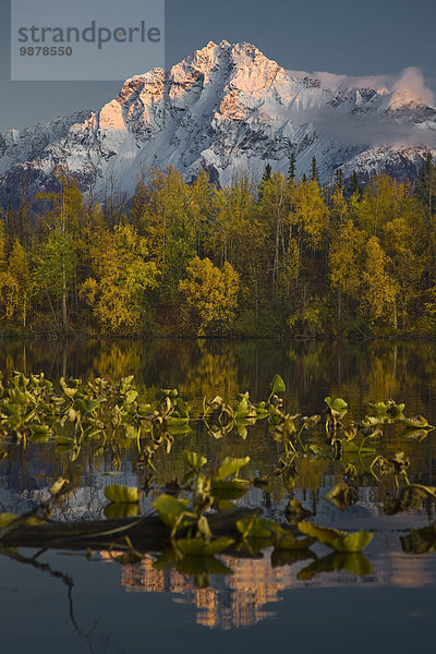 Landschaftlich schön landschaftlich reizvoll Sonnenuntergang Spiegelung See Ansicht Süden Alaska