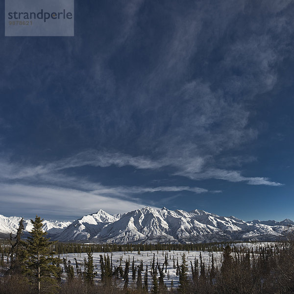 Panorama Berg Winter Tal Schaf Ovis aries Ansicht Schnee