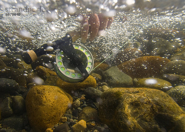 Spule Rolle Wasser Geschwindigkeit Unterwasseraufnahme unter Wasser Bewegung Bach Ansicht Alaska Stange