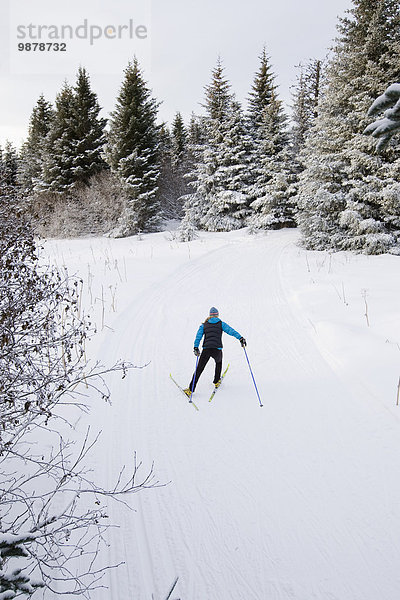nahe Frau Winter folgen Skisport Ski Norden Kenai-Fjords-Nationalpark Kenai-Halbinsel