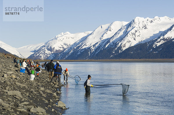 Mensch Menschen Menschengruppe Menschengruppen Gruppe Gruppen Küste angeln Menschlicher Arm Menschliche Arme Arm umlegen Süden Turnagain Arm Alaska