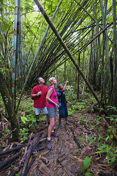 Nationalpark Führung Anleitung führen führt führend Regenwald