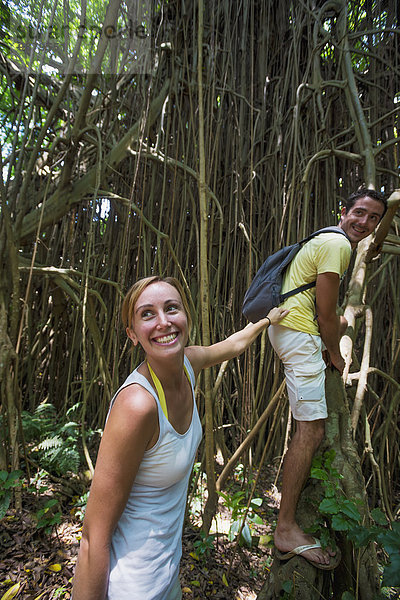 Baum Tourist wandern Tanna Insel