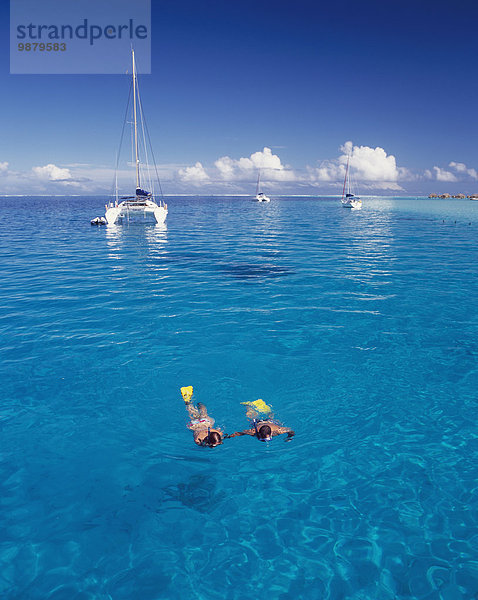 'Snorkelling; Tahiti'