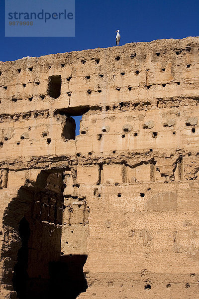 Wand Palast Schloß Schlösser Vernichtung 1 Marrakesch Storch
