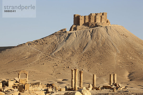 Ruine Palmyra Syrien