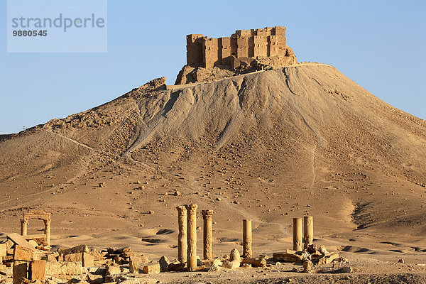 Ruine Palmyra Syrien