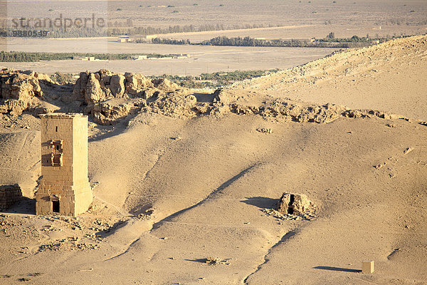 Ruine Palmyra Syrien