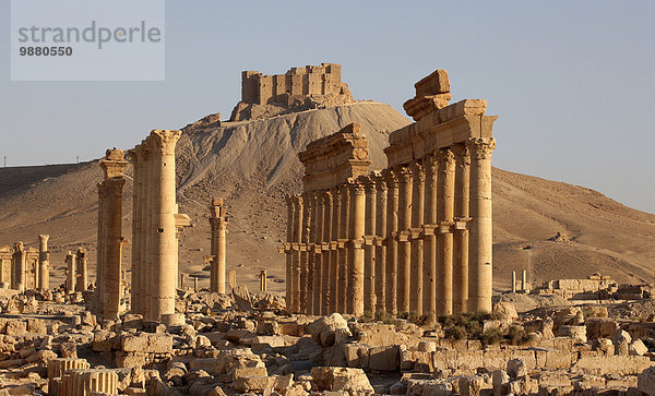 Ruine Palmyra Syrien
